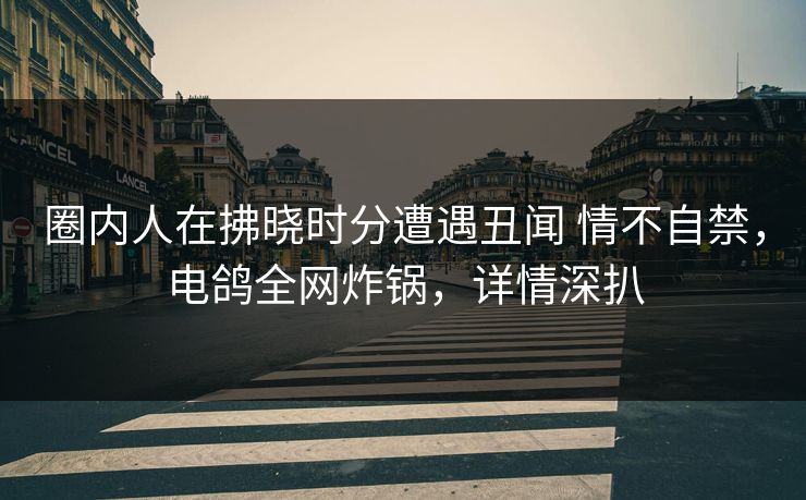 圈内人在拂晓时分遭遇丑闻 情不自禁，电鸽全网炸锅，详情深扒
