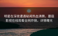 明星在深夜遭遇秘闻热血沸腾，蘑菇影视在线观看全网炸锅，详情曝光