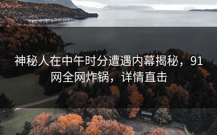 神秘人在中午时分遭遇内幕揭秘，91网全网炸锅，详情直击