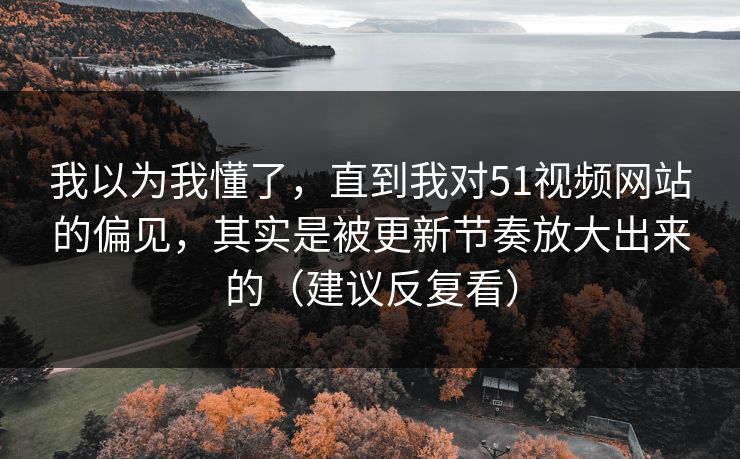 我以为我懂了，直到我对51视频网站的偏见，其实是被更新节奏放大出来的（建议反复看）